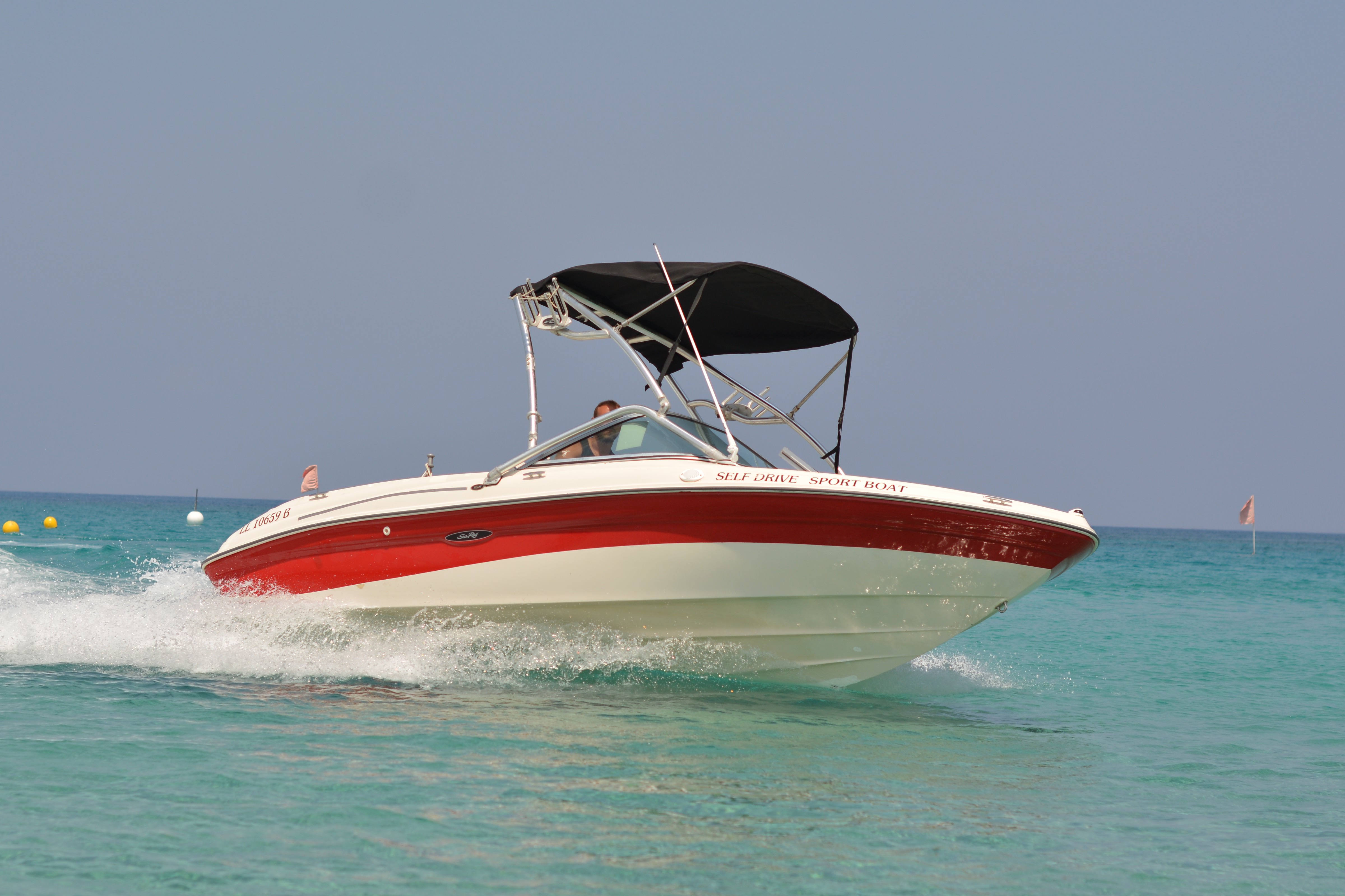 Picture of Sea Ray Family Boat